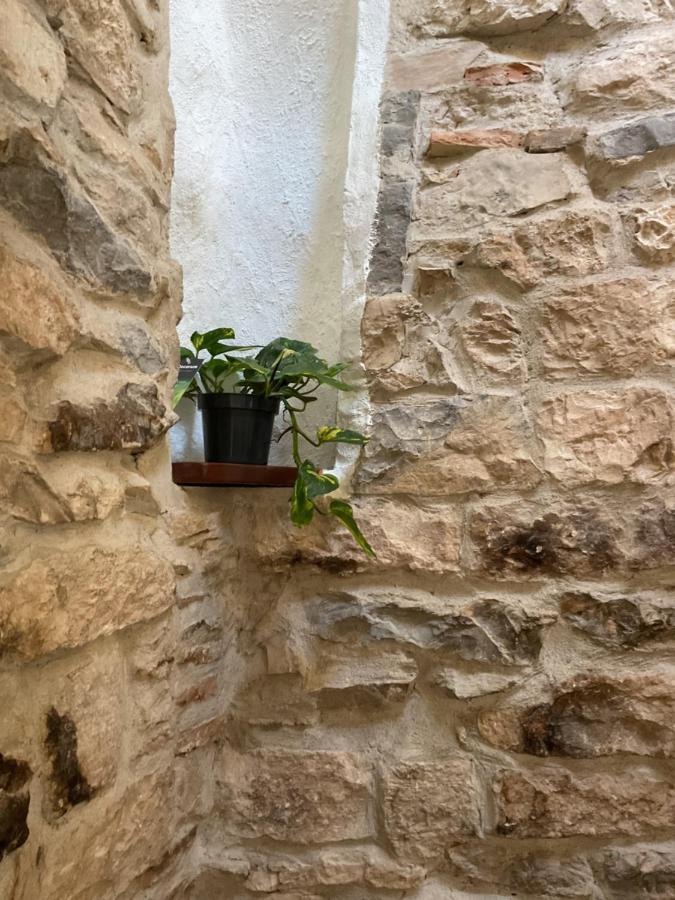 Place Aux Herbes Lejlighed Nîmes Eksteriør billede